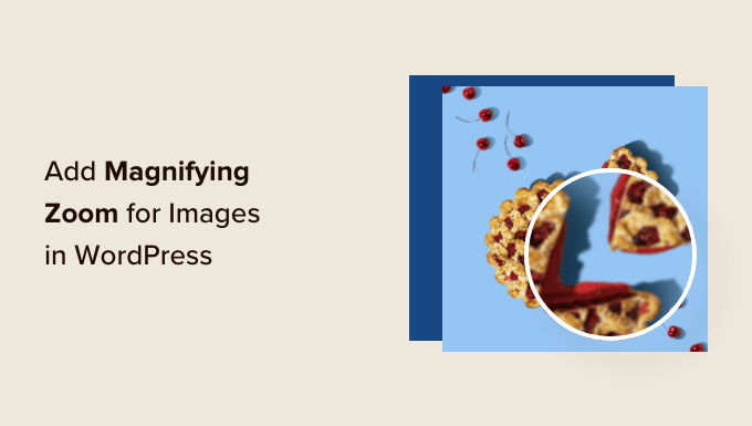 How to Add Magnifying Zoom for Images in WordPress How to Add Magnifying Zoom for Images in WordPress_684029d7783d2.png