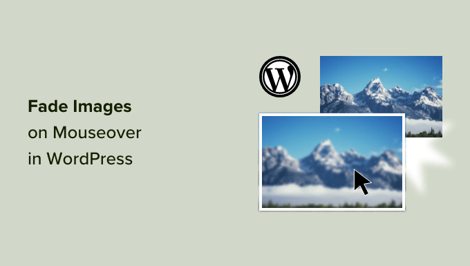 How to Fade Images on Mouseover in WordPress (Simple & Easy) How to Fade Images on Mouseover in WordPress (Simple & Easy)_68402c52c284d.png