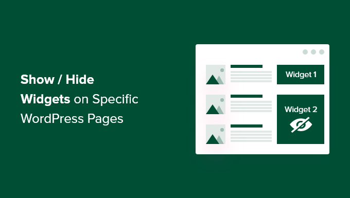 How to Show or Hide Widgets on Specific WordPress Pages_684029ac0902a.png