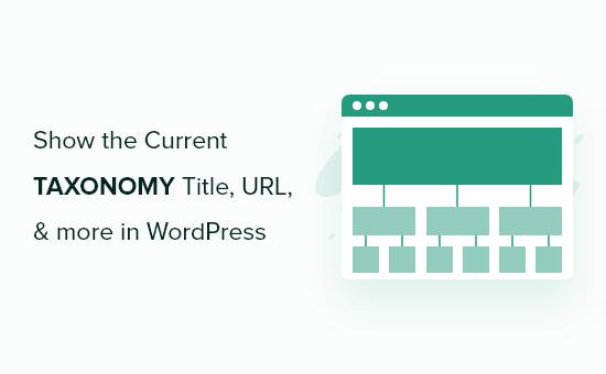 How to Show the Current Taxonomy Title, URL, & More in WordPress How to Show the Current Taxonomy Title, URL, & More in WordPress_68402c70b0ade.png