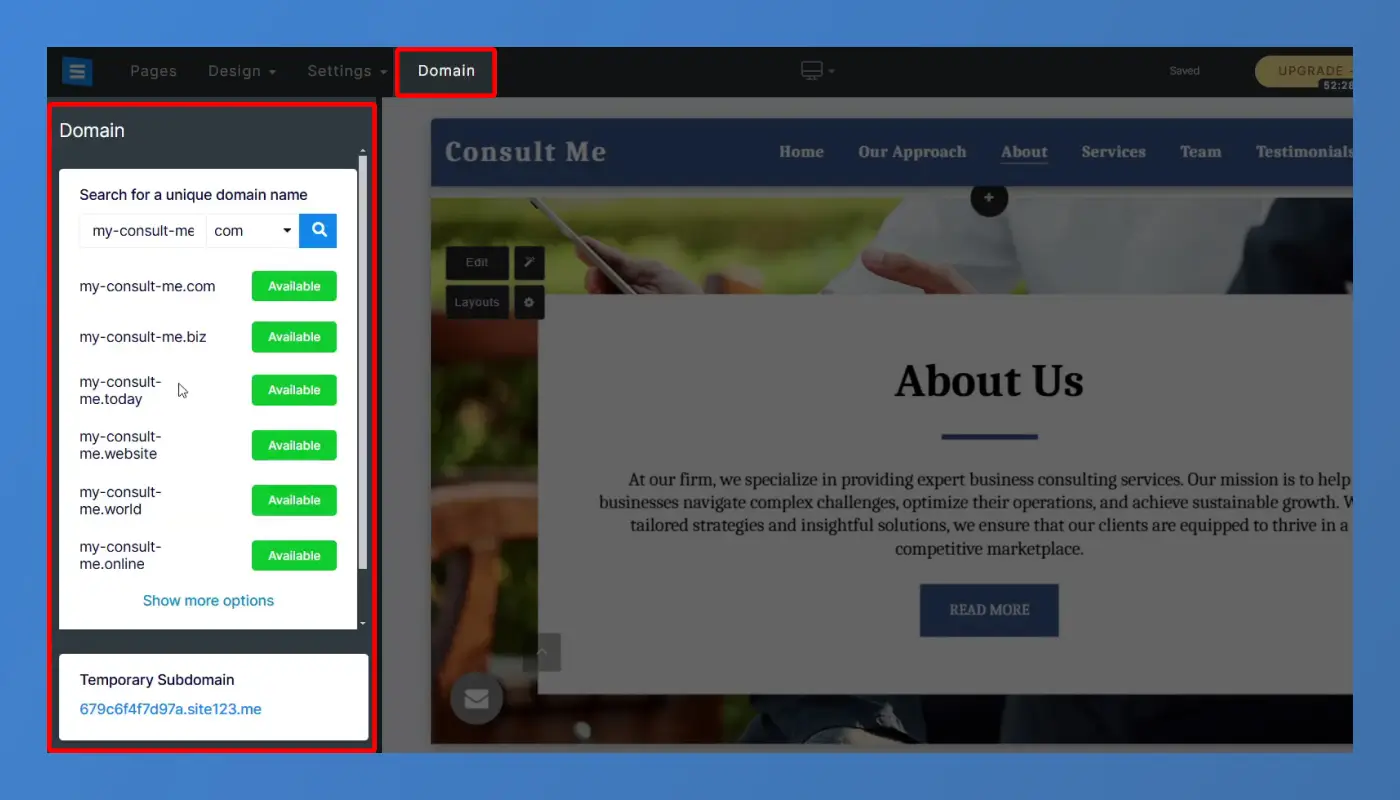 Domain Settings and Additional Features